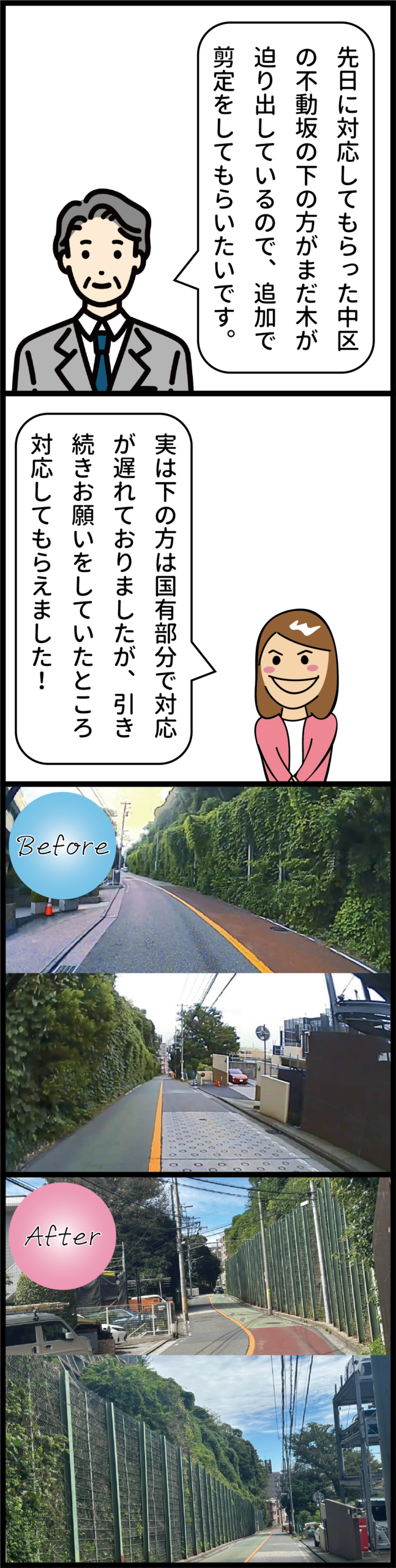 Vol.43【続報】不動坂の樹木剪定　国所有部分も対応が完了しました